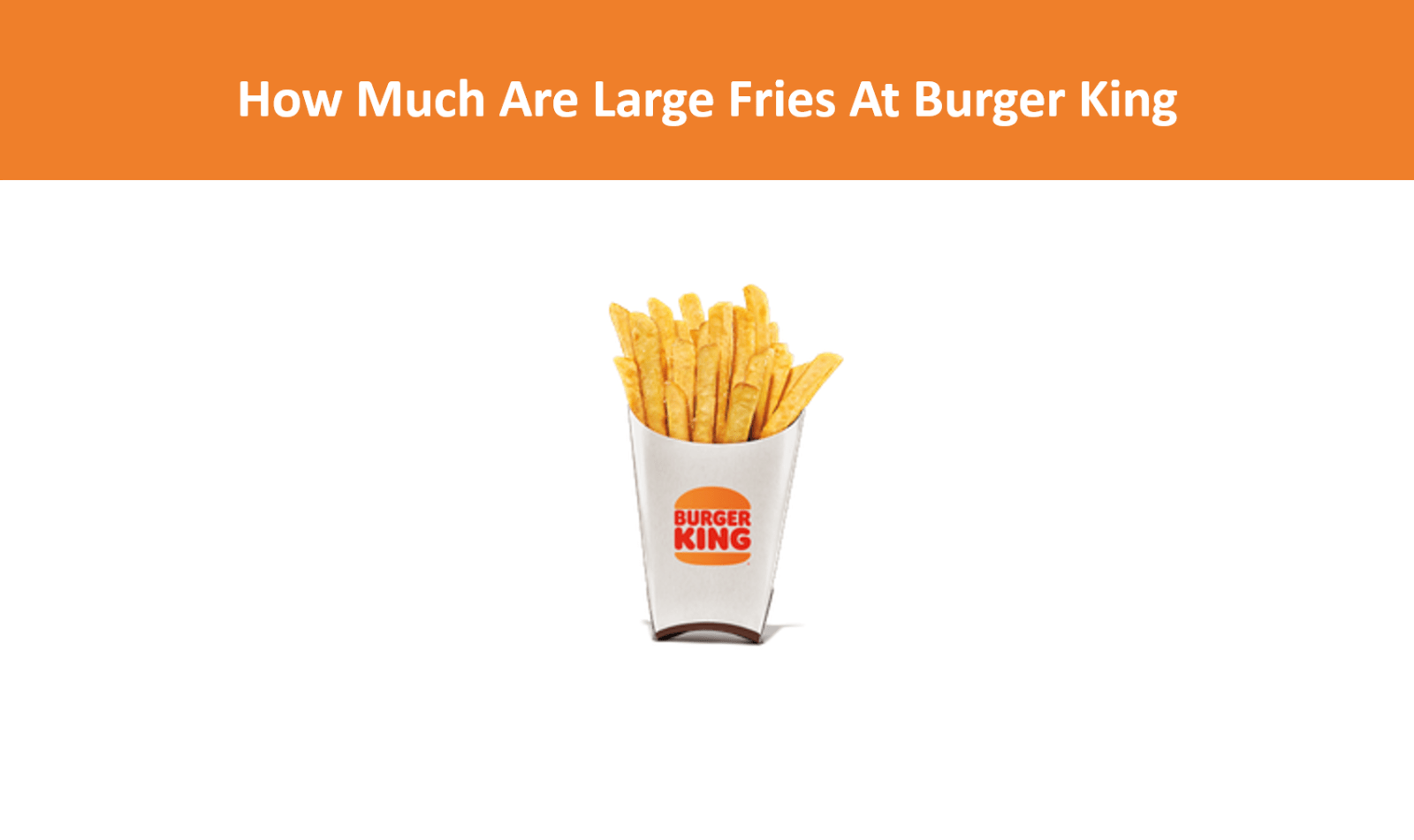 How Much Are Large Fries At Burger King 